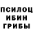 Псилоцибиновые грибы мицелий WerF1x