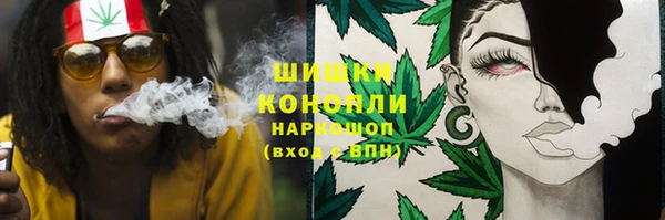 прущие крисы Белокуриха