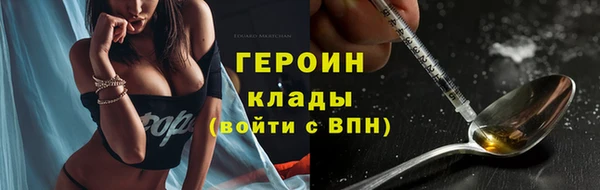 СК Снежногорск