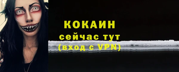 молекула духа Белоозёрский