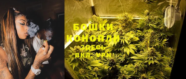 прущие крисы Белокуриха