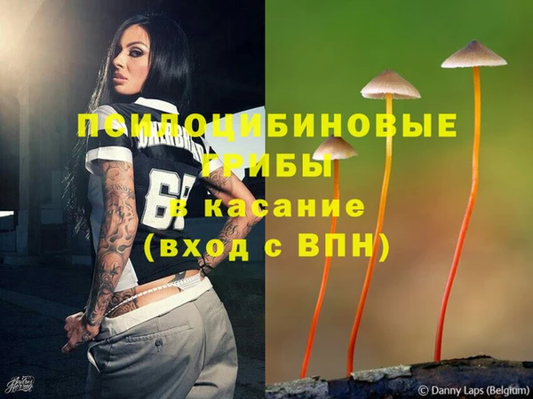герыч Снежинск