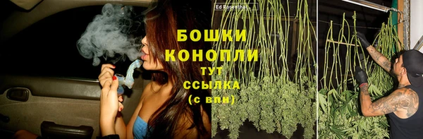 молекула духа Белоозёрский