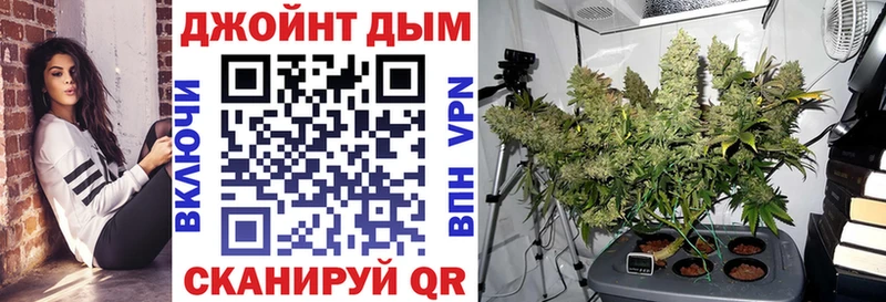 продажа наркотиков  Верея  Каннабис план 